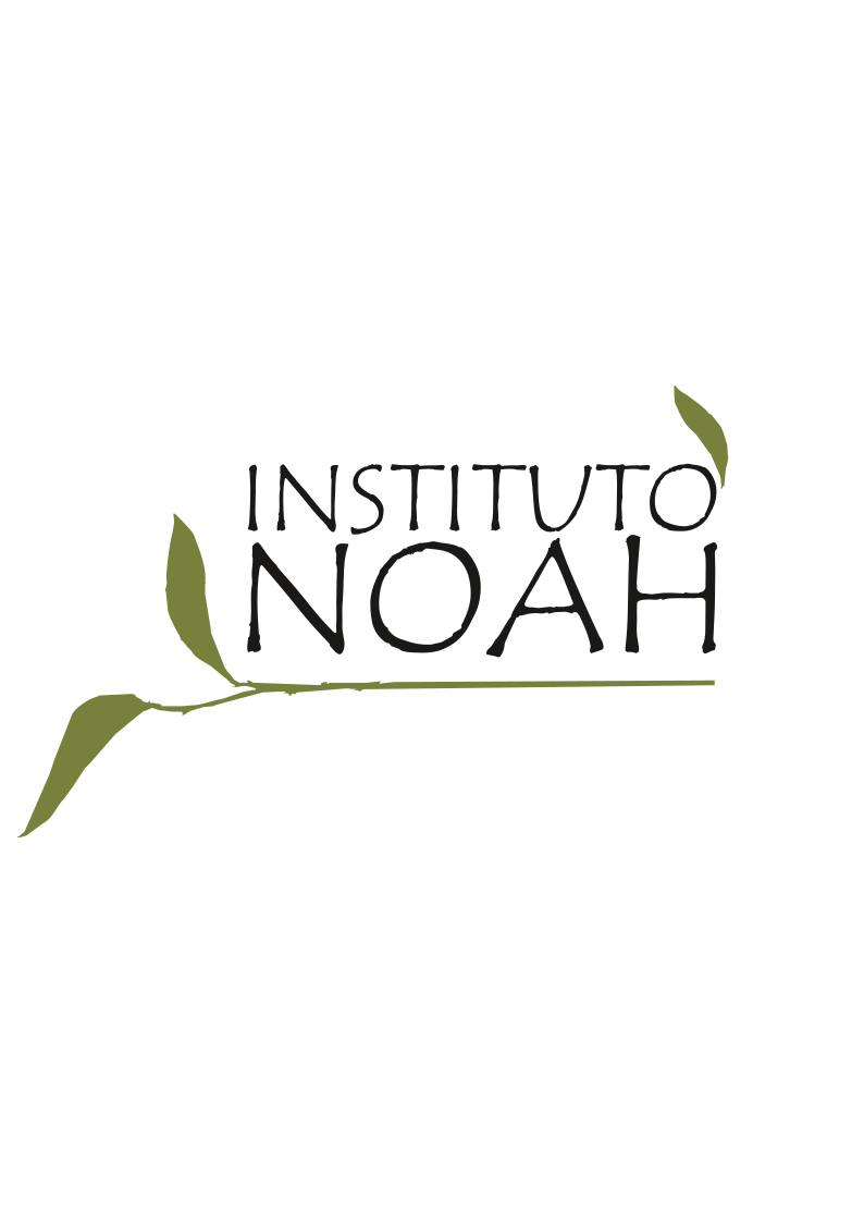 Instituto Noah